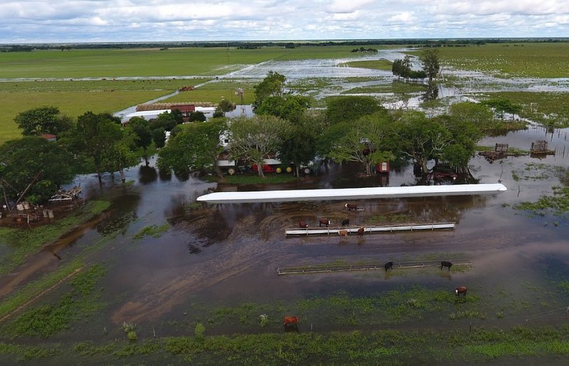 Distritos de San Cristóbal también entraron en la emergencia agropecuaria