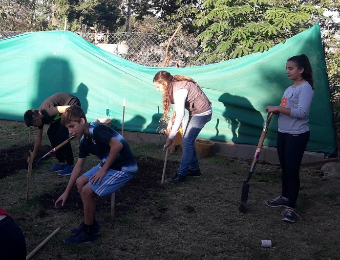 Suardi: Se inició el Taller Huerta Vivero 