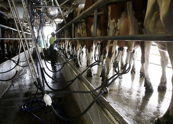 En abril la leche en tambo tuvo una suba del 13%