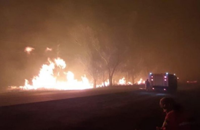 Bomberos combatieron importante incendio al sur de Porteña