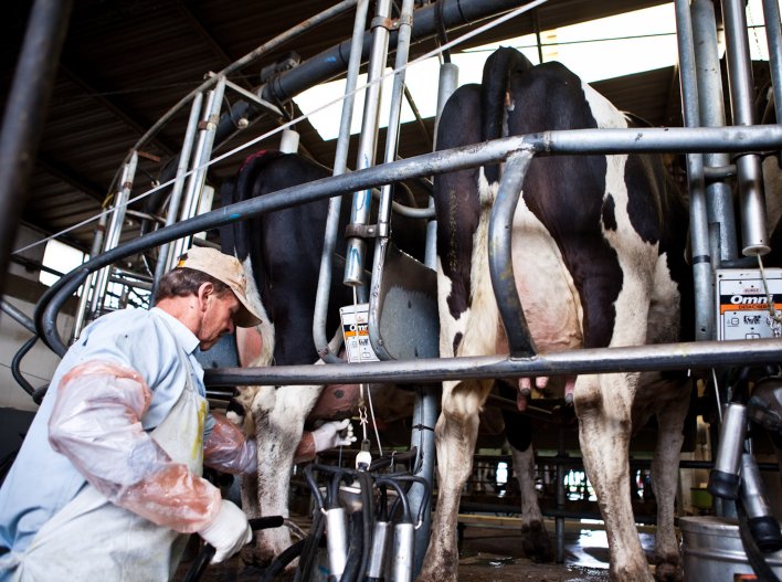La lechería sigue sin conocer quién será el responsable del área