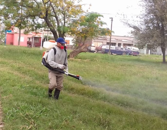 Suardi: El municipio sigue fumigando contra el dengue
