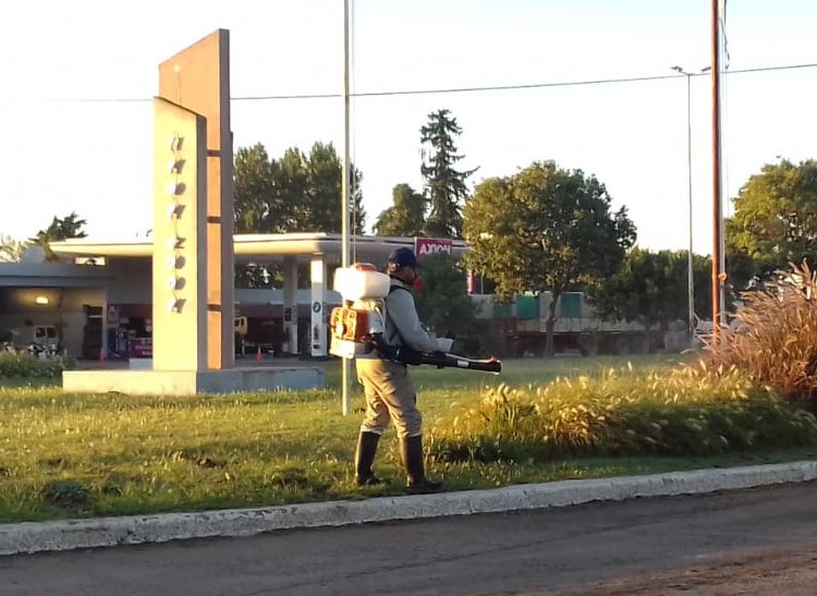 Suardi: Siguen fumigando contra el dengue