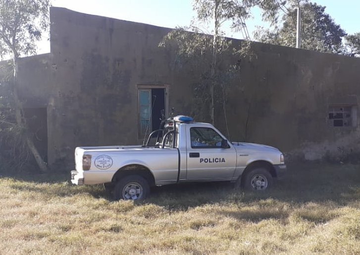 Encontraron plantas de marihuana en Col. Valtelina