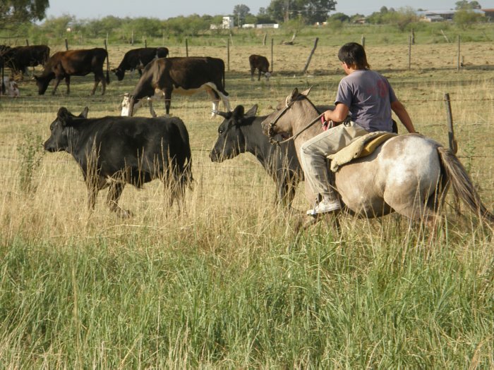 Trabajadores rurales lograron mejora salarial del 32%