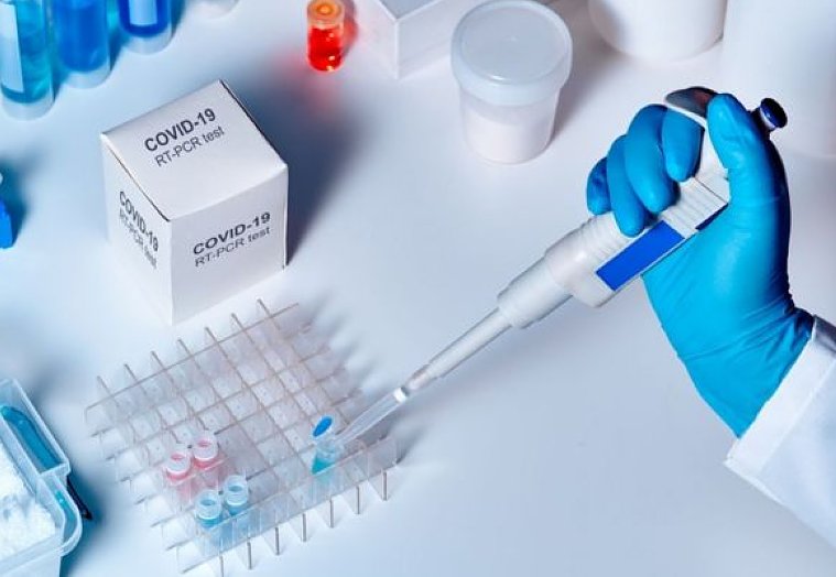 Coronavirus: Santa Fe reportó más de 1600 casos