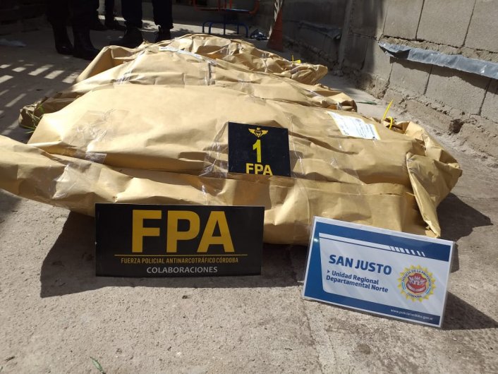 Encontraron plantas de marihuana en dos domicilios de Brinkmann