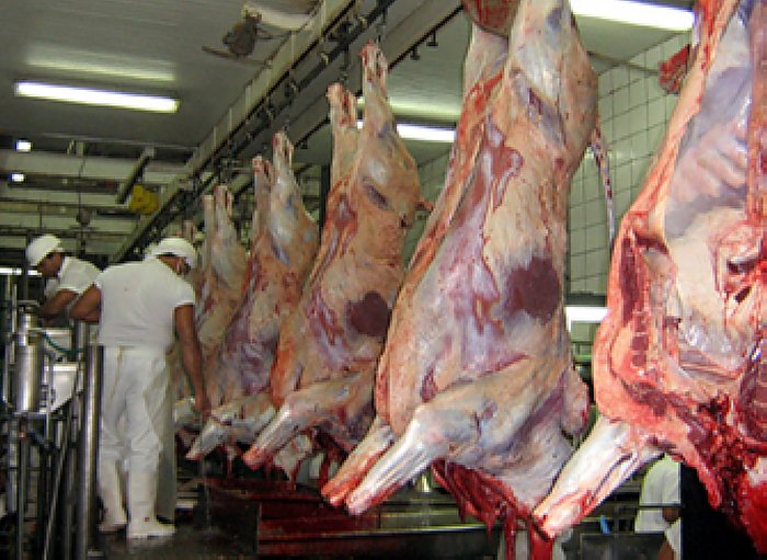 La UCR de Santa Fe dijo que el cierre de exportaciones de carnes es un error severo
