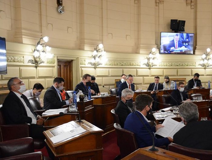 Senadores radicales piden informes sobre el Plan Incluir