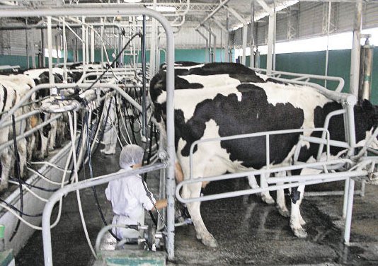 Caprolec vuelve a alertar ante la crisis lechera