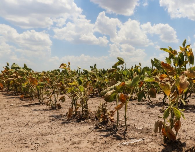 La provincia avanza en la implementación de la emergencia agropecuaria