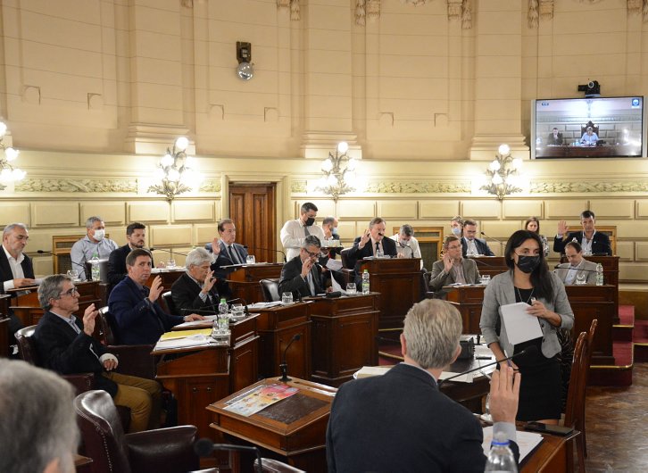 El Senado declaró de su interés la Fiesta Provincial del Sorgo en Suardi