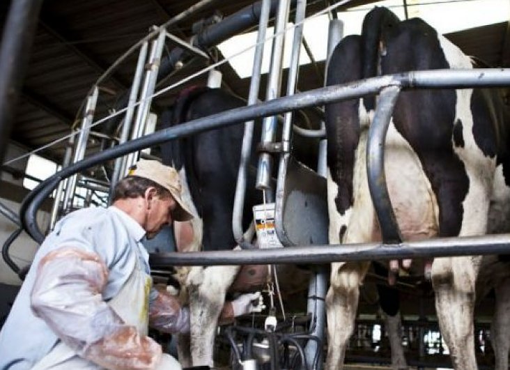 CARSFE rechaza la intervención del Gobierno sobre el sector lácteo