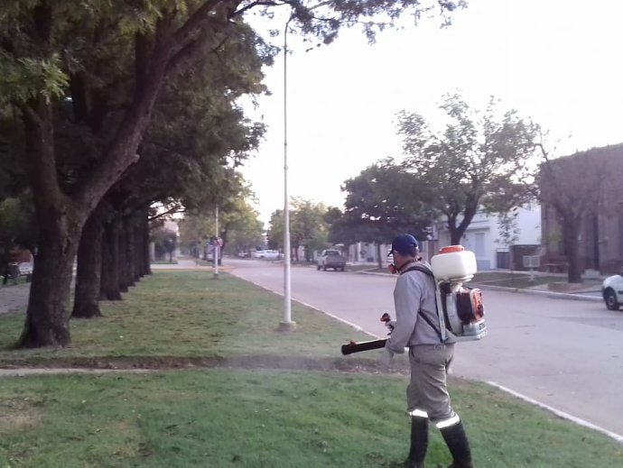 Suardi: Fumigan espacios públicos ante el avance del dengue