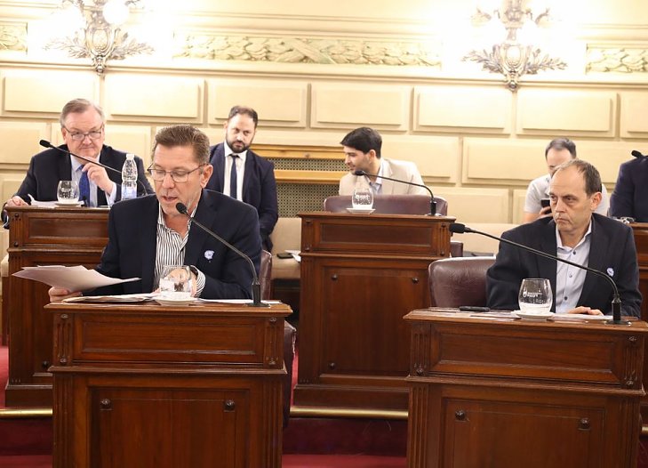 Senadores radicales piden explicaciones por las facturas de la EPE