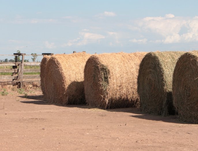 La provincia ofrece créditos a tasa bonificada al sector agropecuario