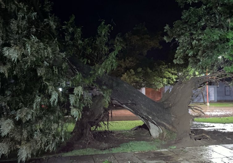 Fuerte tormenta afectó Brinkmann durante la noche de Navidad