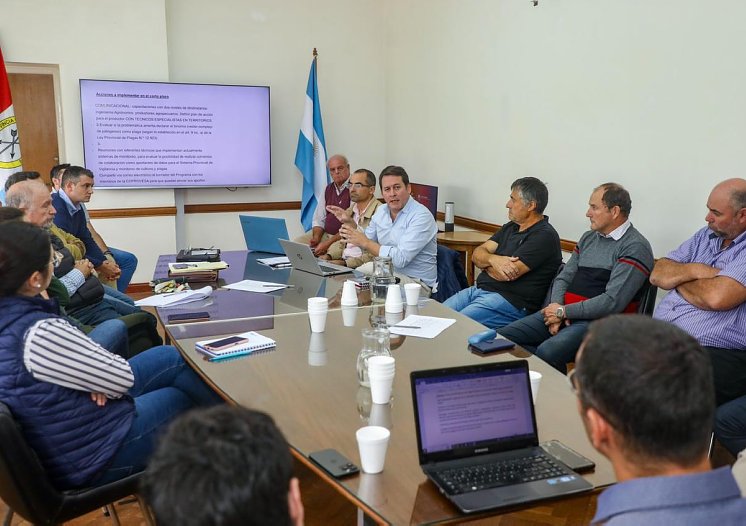 COPROVESA pide que la chicharrita del maíz sea considerada una plaga