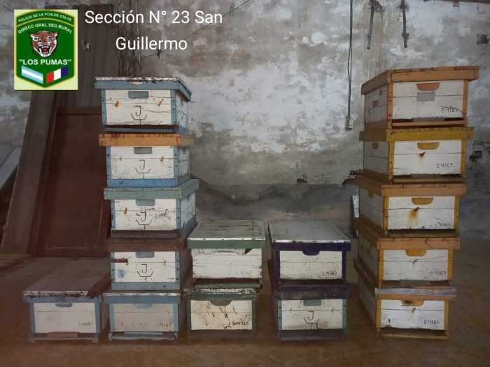 Guardia Los Pumas San Guillermo esclarecio un robo de colmenas