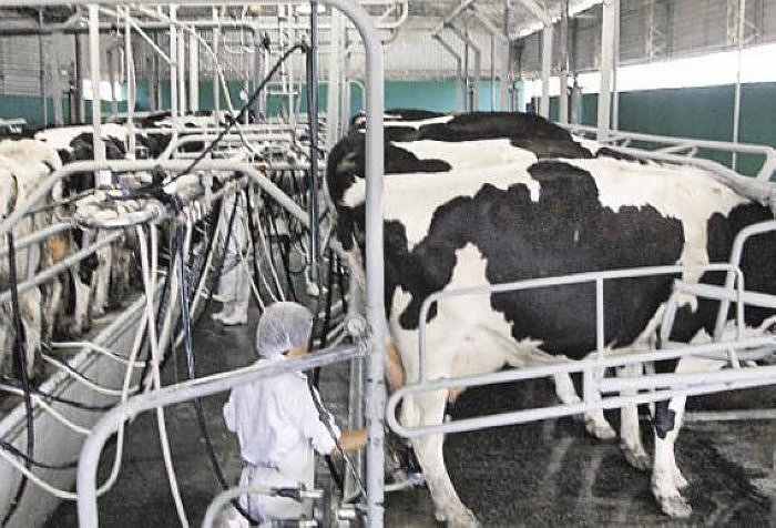 Provincia presentó un crédito a tasa 0 % para el sector tambero