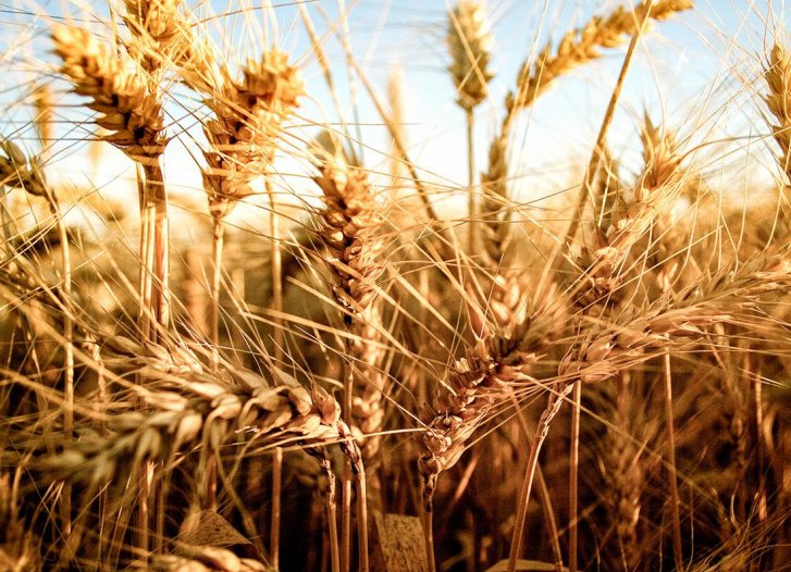 La provincia amplía el cupo de créditos para la producción