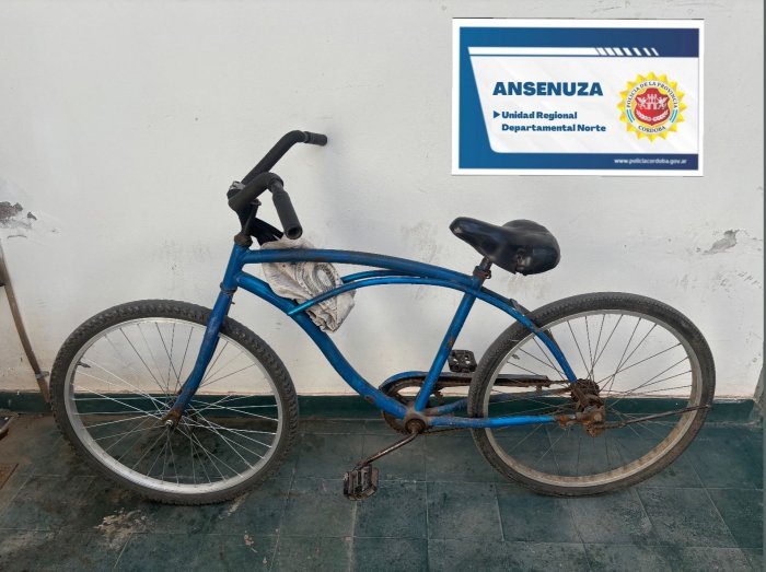 Policía de Brinkmann intervino en robos y estafa