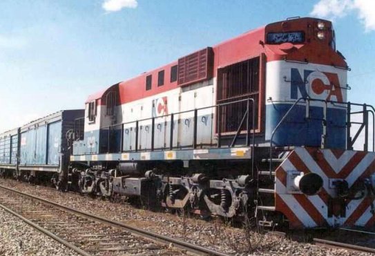 Sunchales: Un tren mató a 12 vacas que huían de un ataque de abejas