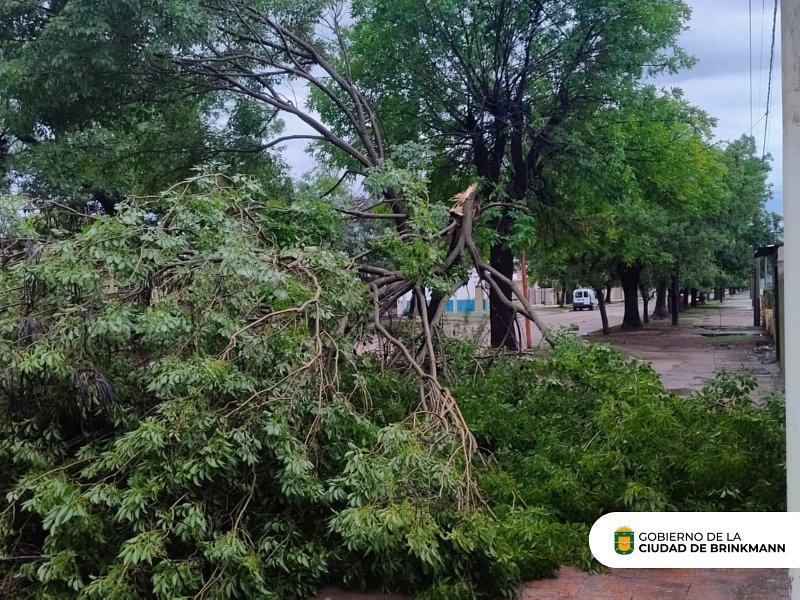 Brinkmann y Freyre afectadas por la fuerte tormenta del lunes