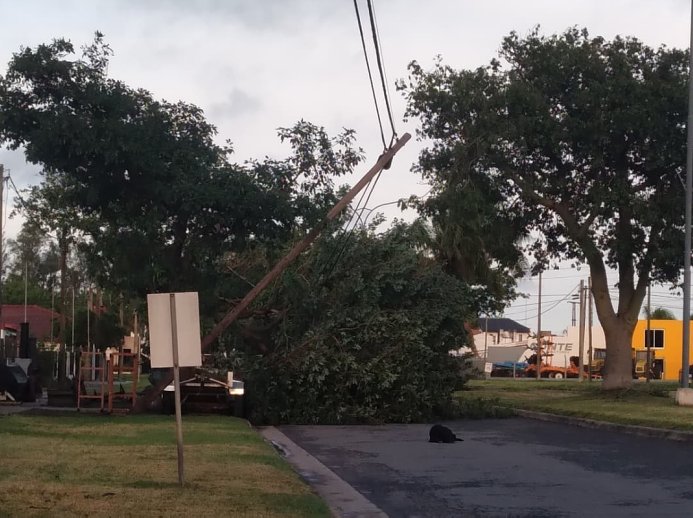 El viento provocó daños en San Guillermo