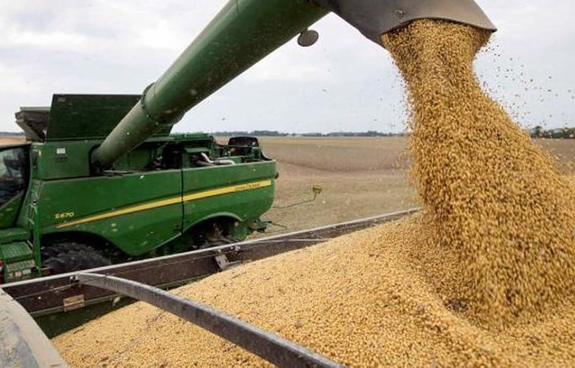 El gobierno oficializó la rebaja de las retenciones agrícolas pero estableció condiciones