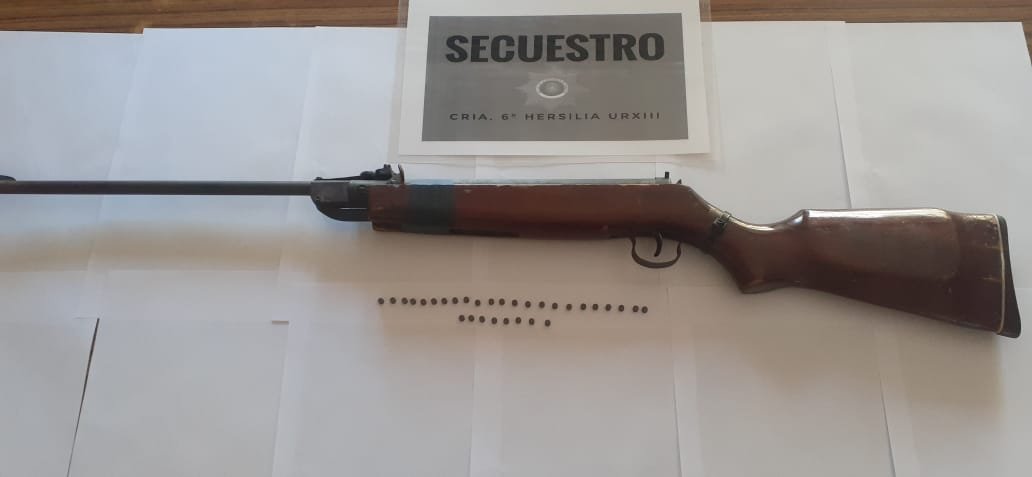 Denunciaron a un hombre que le disparaba a perros en Hersilia