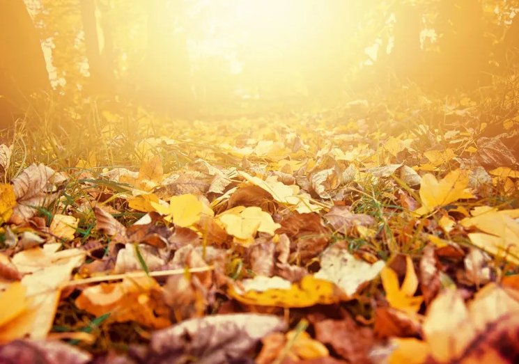 Se avecina un otoño con lluvias normales pero temperaturas más altas