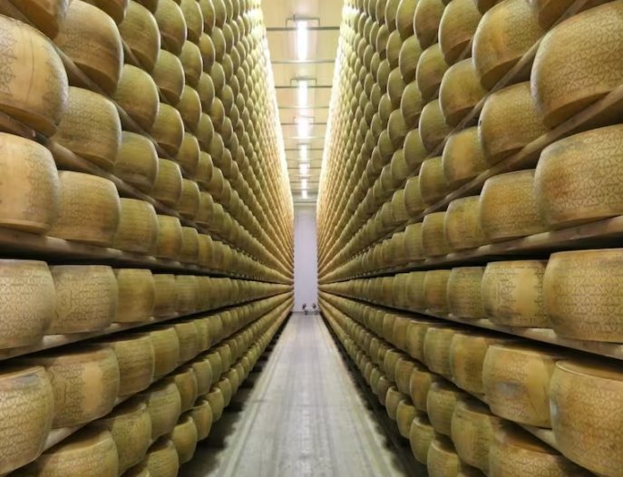 Nuevamente pretenden rematar quesos de SanCor para pagarle a acreedores