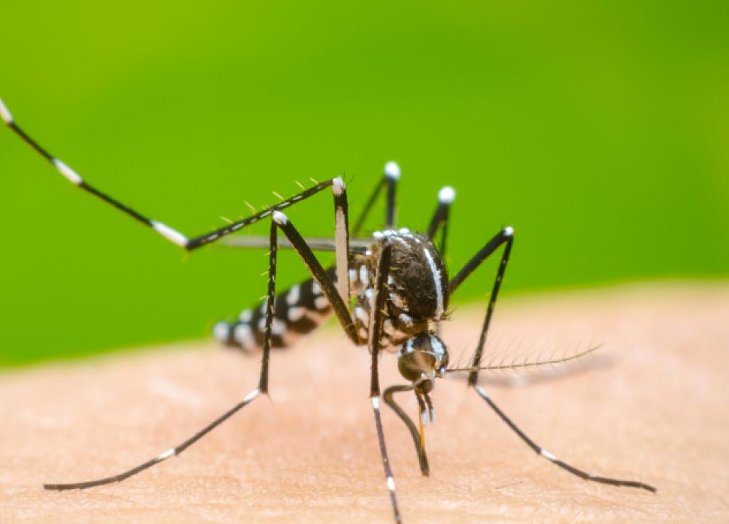 Confirmaron la segunda muerte por dengue en la provincia