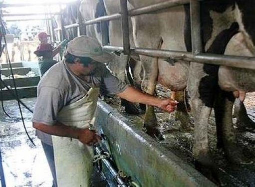 Morteros: Presentaron cursos para trabajadores rurales