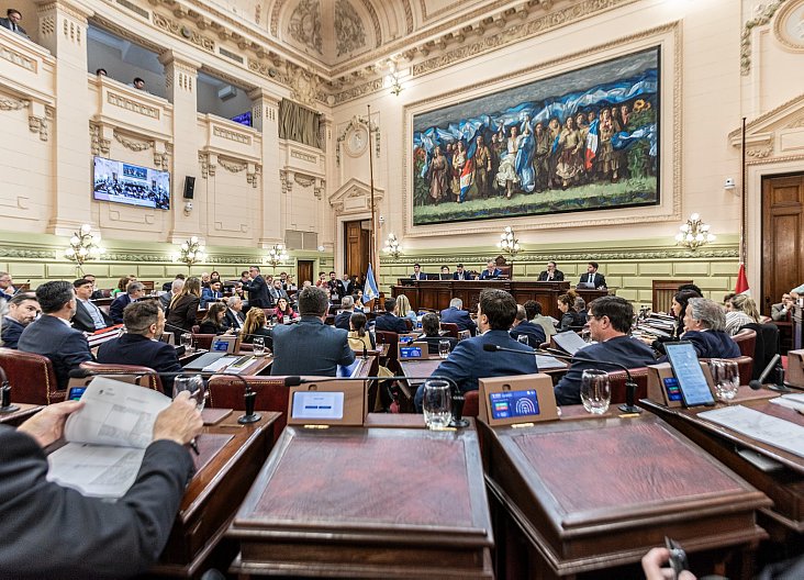 La Convención Reformadora votó el Estado laico y la incorporación de Ficha Limpia