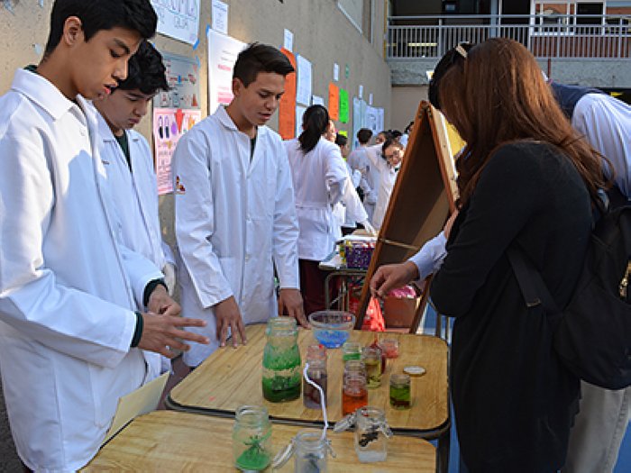 Proyectos del Dpto. San Cristóbal fueron seleccionados para representar a Santa Fe en la Feria Nacional de Ciencias