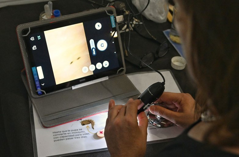 Objetivo Dengue: Informaron sobre el funcionamiento de la red de monitoreo que permite detectar la presencia del mosquito