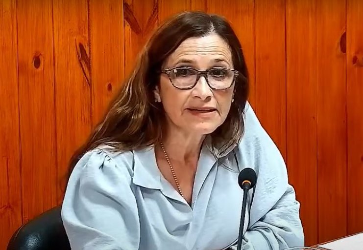 Suardi: El Concejo aprobó bloquear páginas de apuestas en el wifi gratuito del municipio