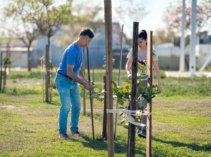 Porteña: El municipio realizó importante inversión para el arbolado público