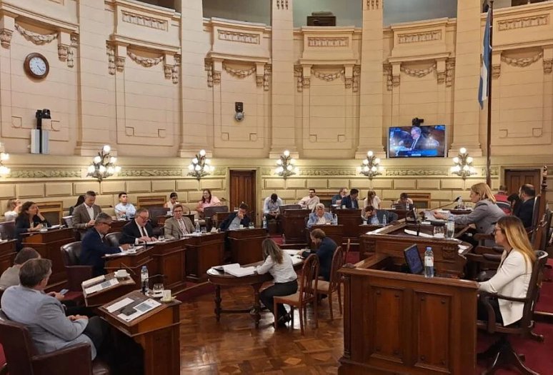 El Senado le dió media sanción a la Ley de reconocimiento de Banderas Departamentales