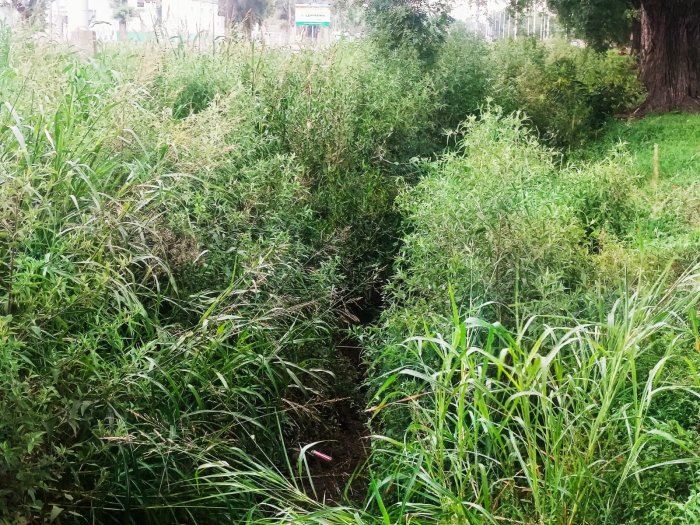 El acceso norte de Suardi 