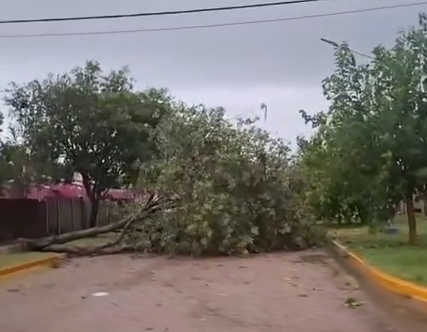 Fuerte tormenta de viento, lluvia y granizo afectó a Ambrosetti