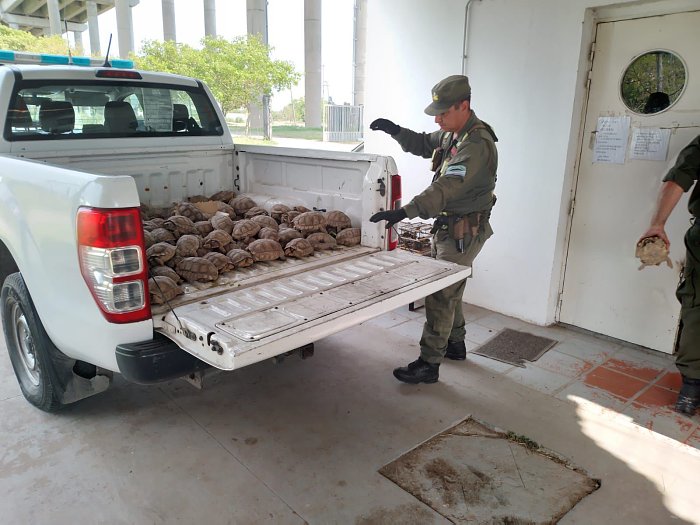 Santa Fe aumentó las multas por delitos contra la fauna silvestre