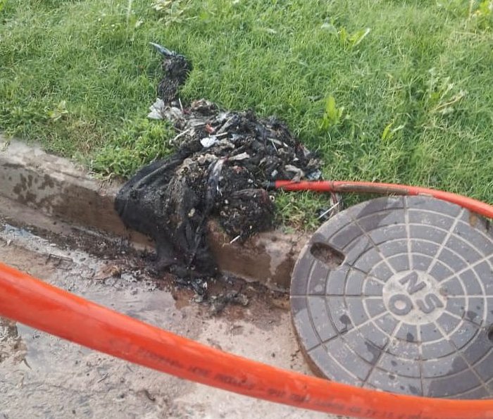 Morteros: Advierten sobre el mal uso de las cloacas 