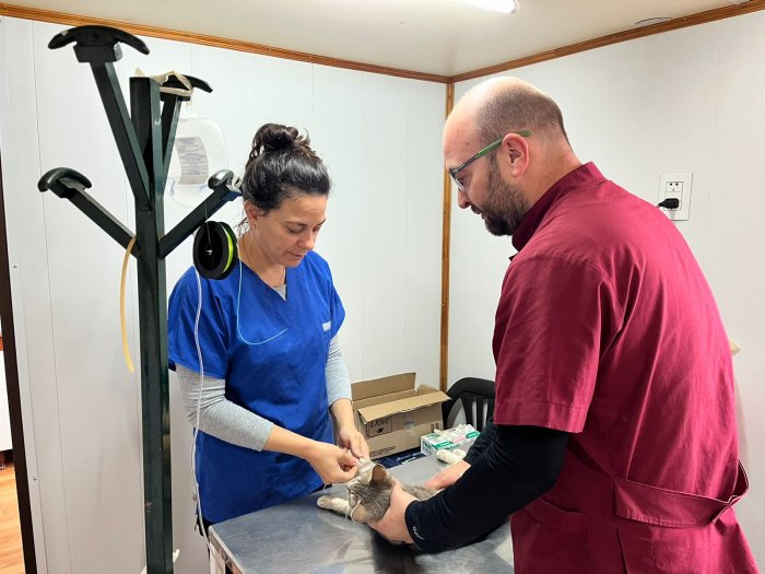 Suardi refuerza el control poblacional animal