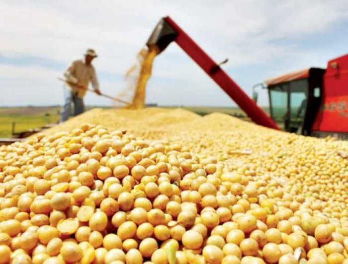 Menos optimismo en el campo: impactan los costos y el contexto internacional