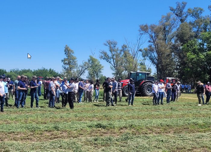 Col. Vignaud será sede de una jornada a campo del clúster de alfalfa