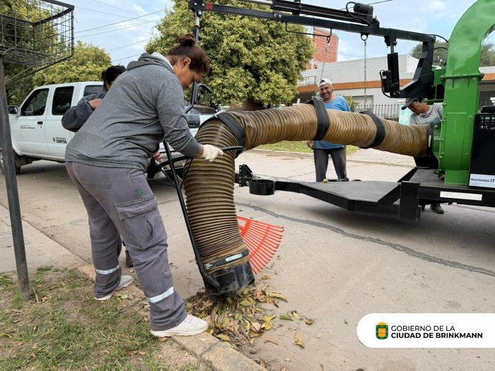 Brinkmann avanza con limpieza urbana y obras para mejorar el drenaje en la ciudad