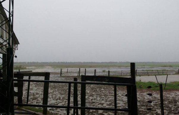 Las lluvias siguen agravando el panorama en zona rural de Sunchales